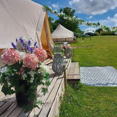 Hopgarden Glamping - Luxury 6M Bell Tent Wadhurst Eksteriør bilde