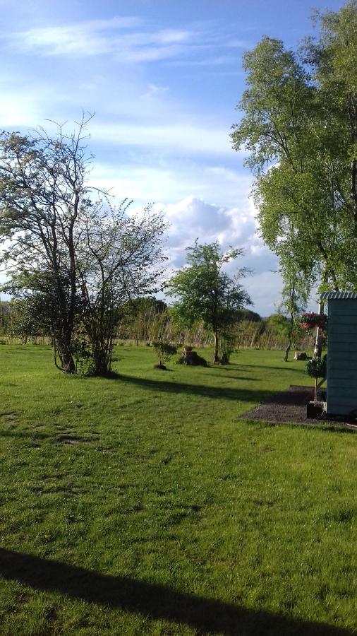 Hopgarden Glamping - Luxury 6M Bell Tent Wadhurst Eksteriør bilde