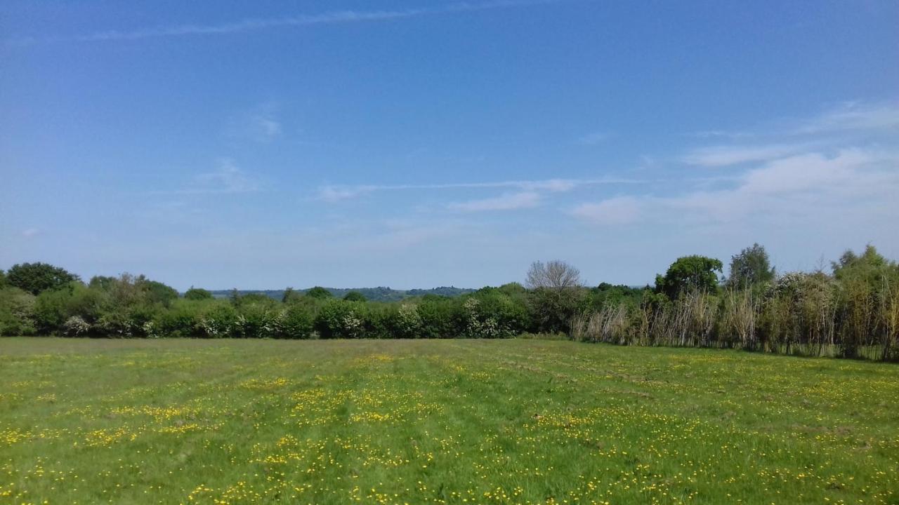 Hopgarden Glamping - Luxury 6M Bell Tent Wadhurst Eksteriør bilde