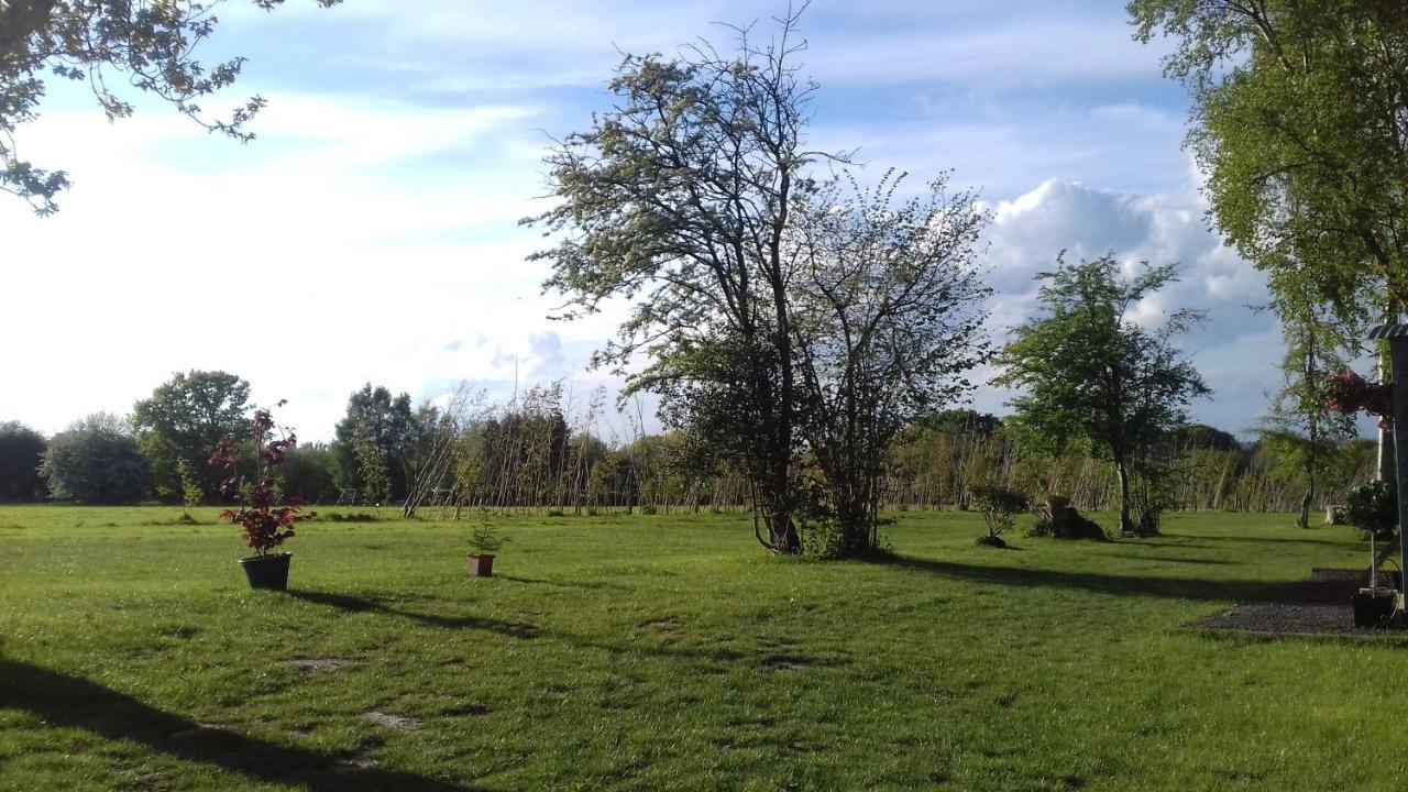 Hopgarden Glamping - Luxury 6M Bell Tent Wadhurst Eksteriør bilde