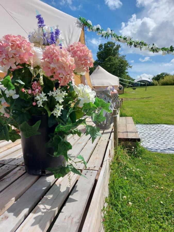 Hopgarden Glamping - Luxury 6M Bell Tent Wadhurst Eksteriør bilde