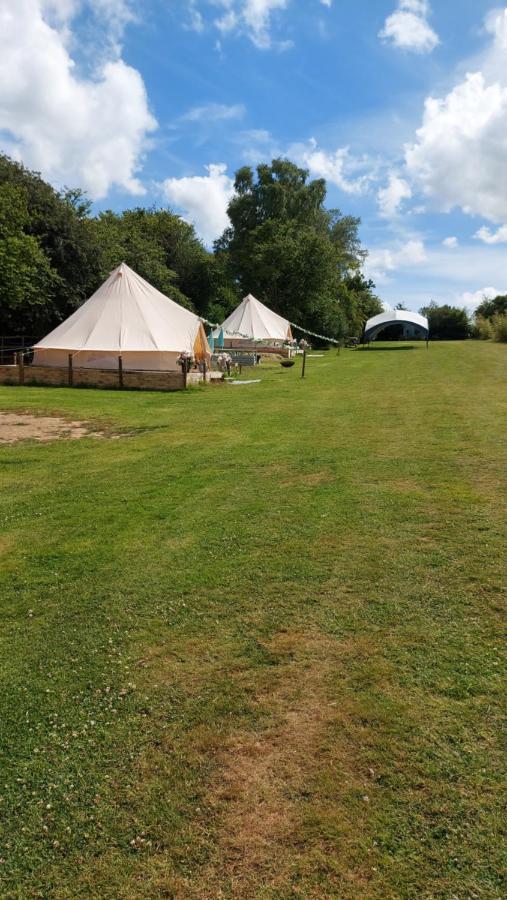 Hopgarden Glamping - Luxury 6M Bell Tent Wadhurst Eksteriør bilde