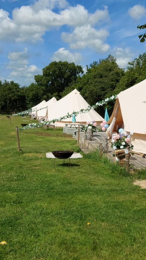 Hopgarden Glamping - Luxury 6M Bell Tent Wadhurst Eksteriør bilde