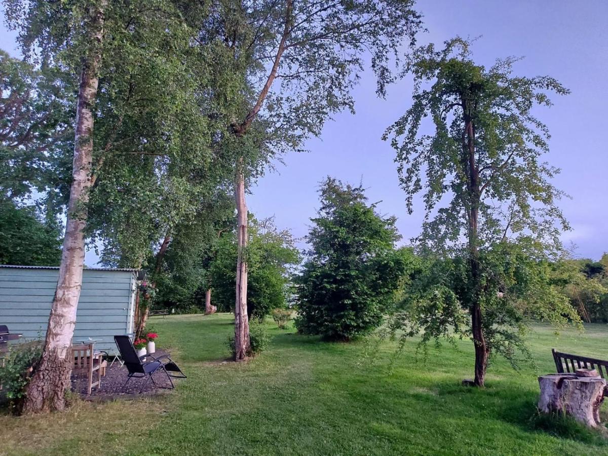 Hopgarden Glamping - Luxury 6M Bell Tent Wadhurst Eksteriør bilde