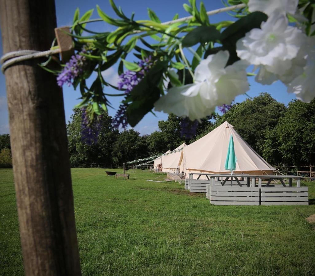 Hopgarden Glamping - Luxury 6M Bell Tent Wadhurst Eksteriør bilde